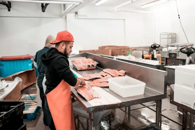 Red's Best Seafood. A photo of a worker preparing fish.